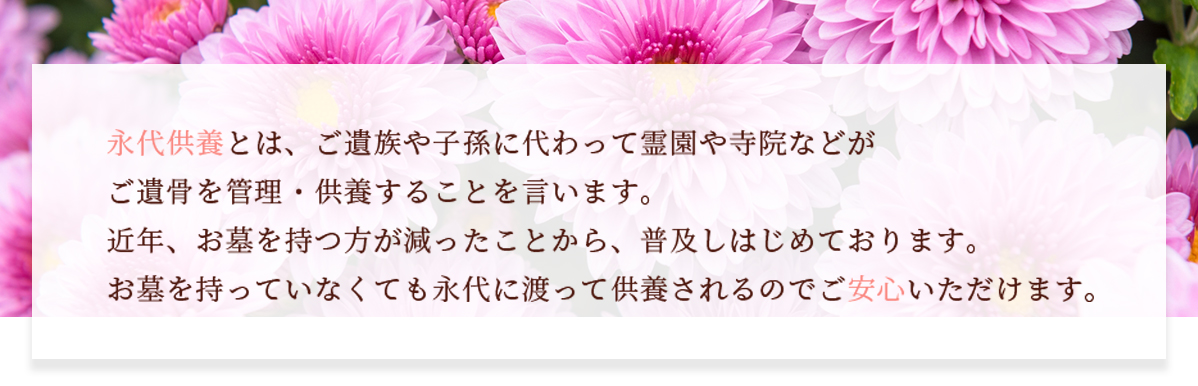 永代供養画像